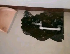 绍兴市卫生间测漏水多少钱